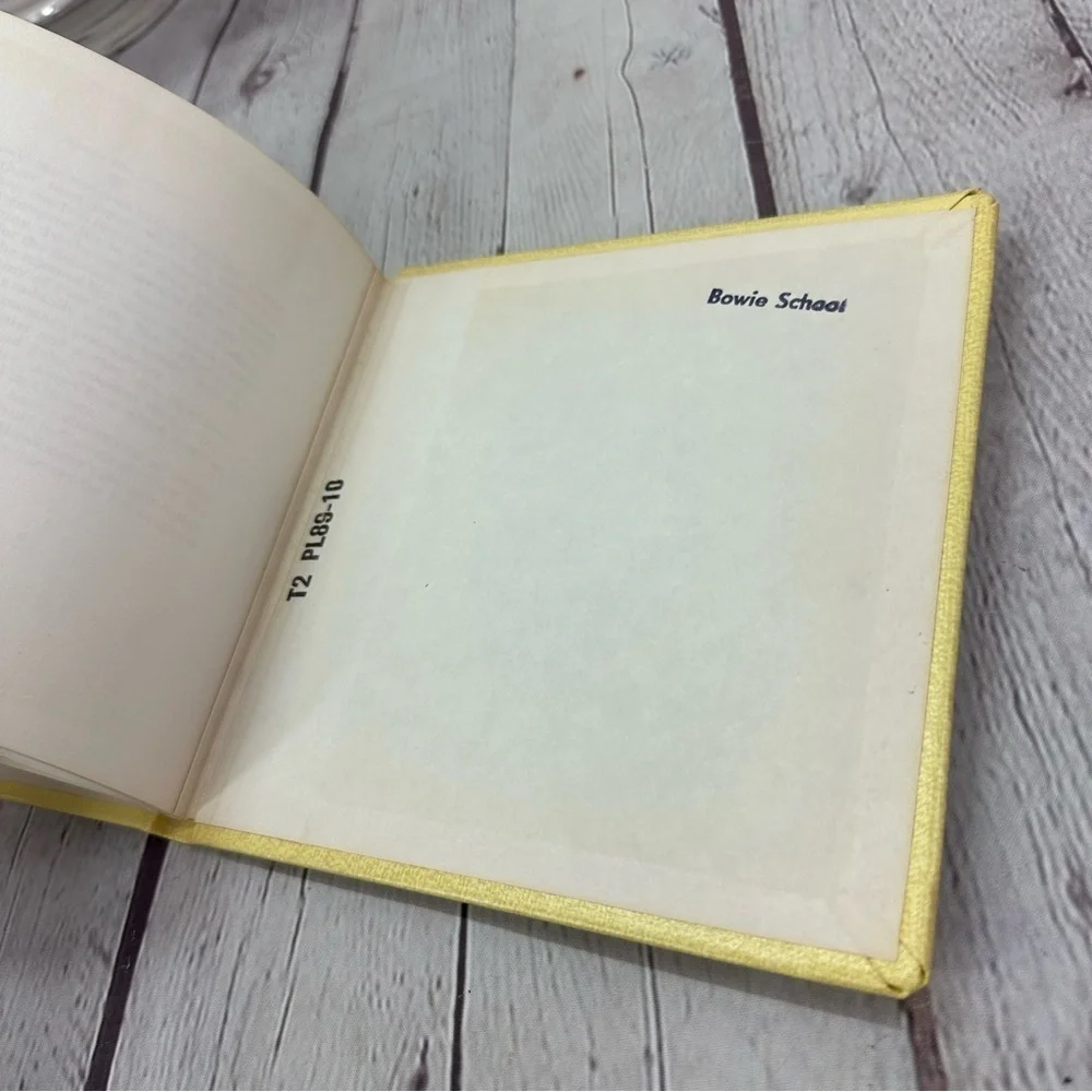 vintage 1970 hard cover That New River Train children's Book